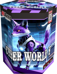 Cyber world F
